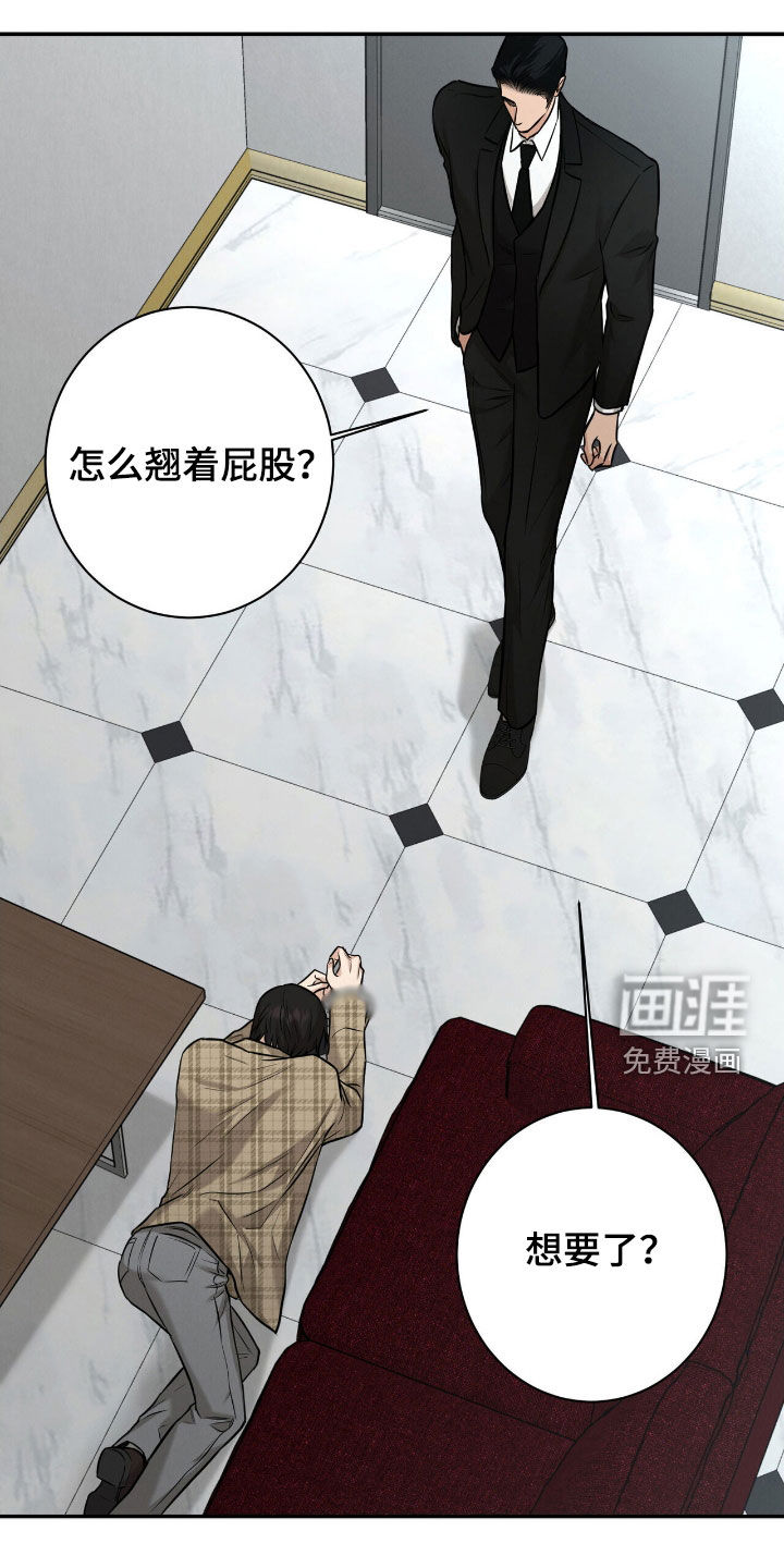 三月的樱花第18话图