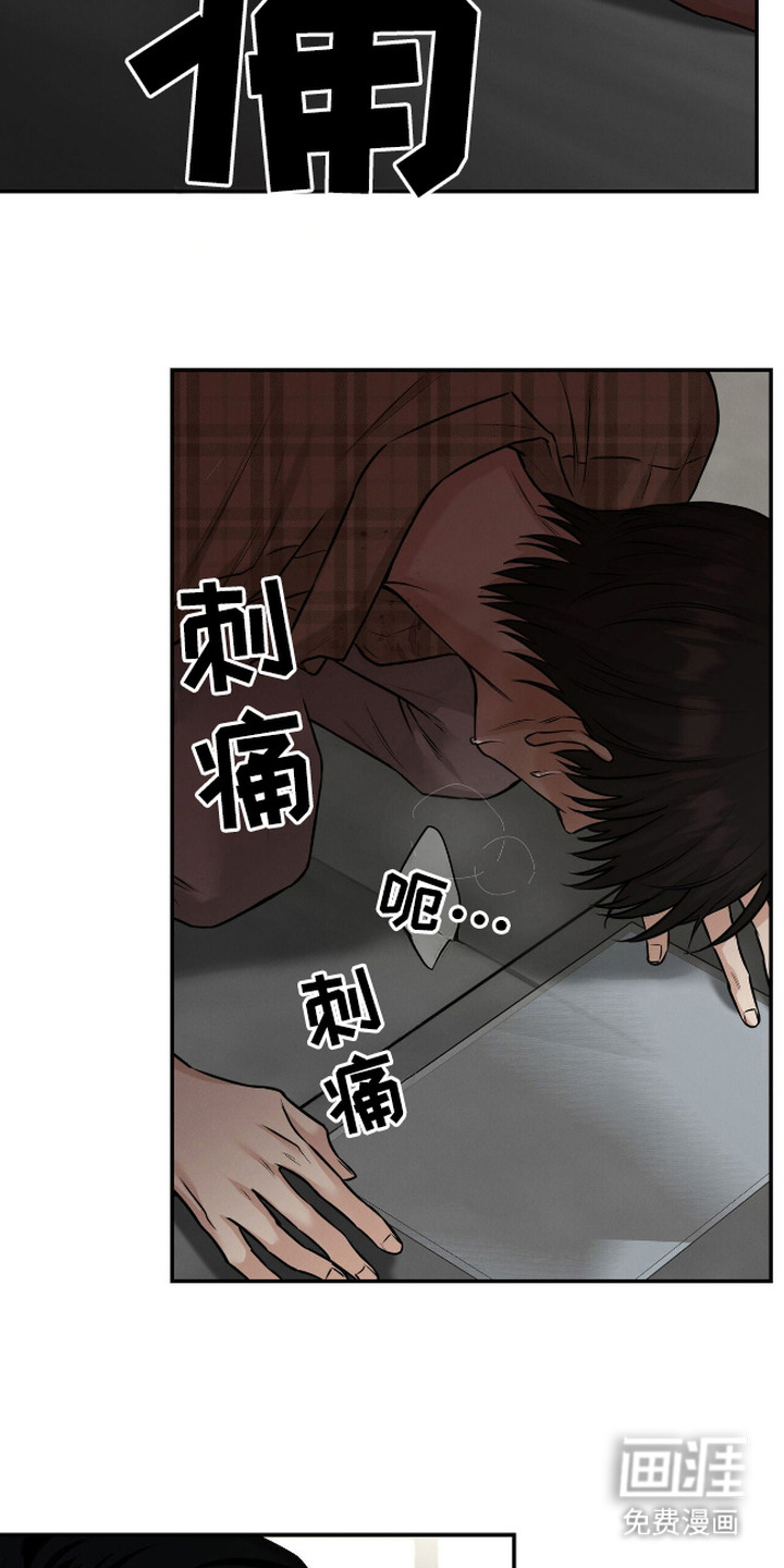 三月的樱花第8话图