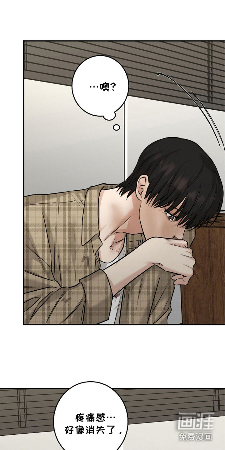 三月的樱花第9话图