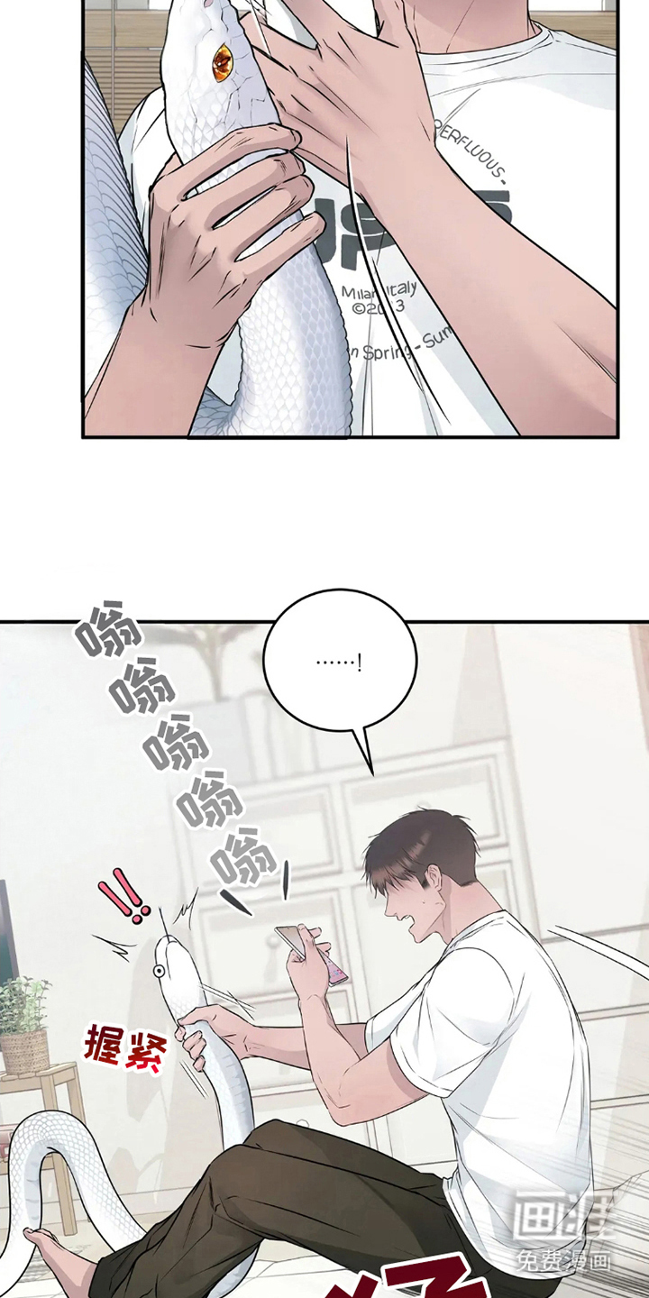 侍奉的蛇神 第11话 第19页