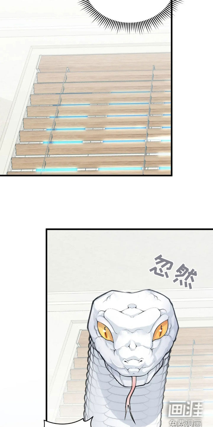 侍奉的蛇神 第20话 第21页