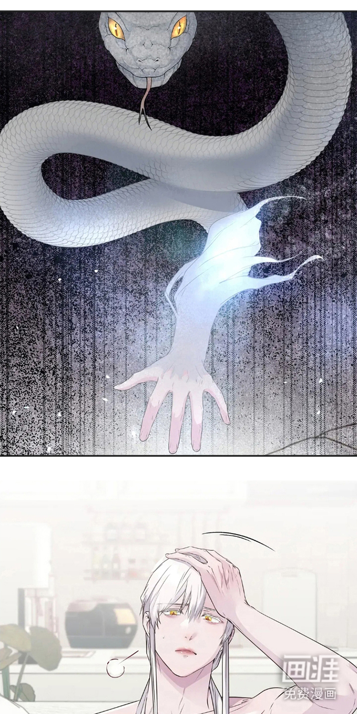 侍奉的蛇神 第8话 第0页