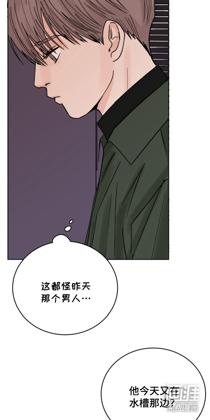 狩猎虎鲸 第11话 第12页