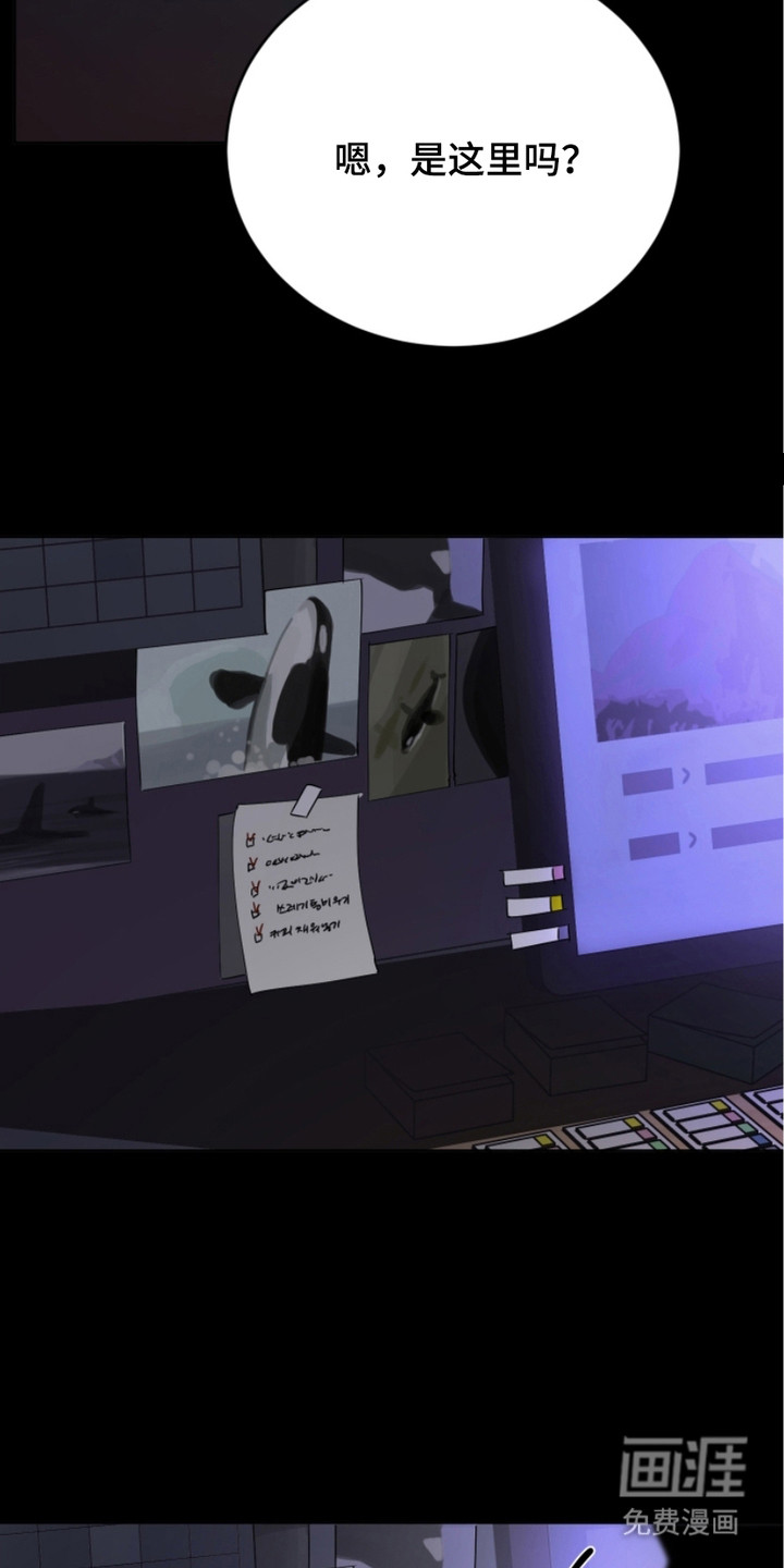 狩猎虎鲸 第12话 第2页