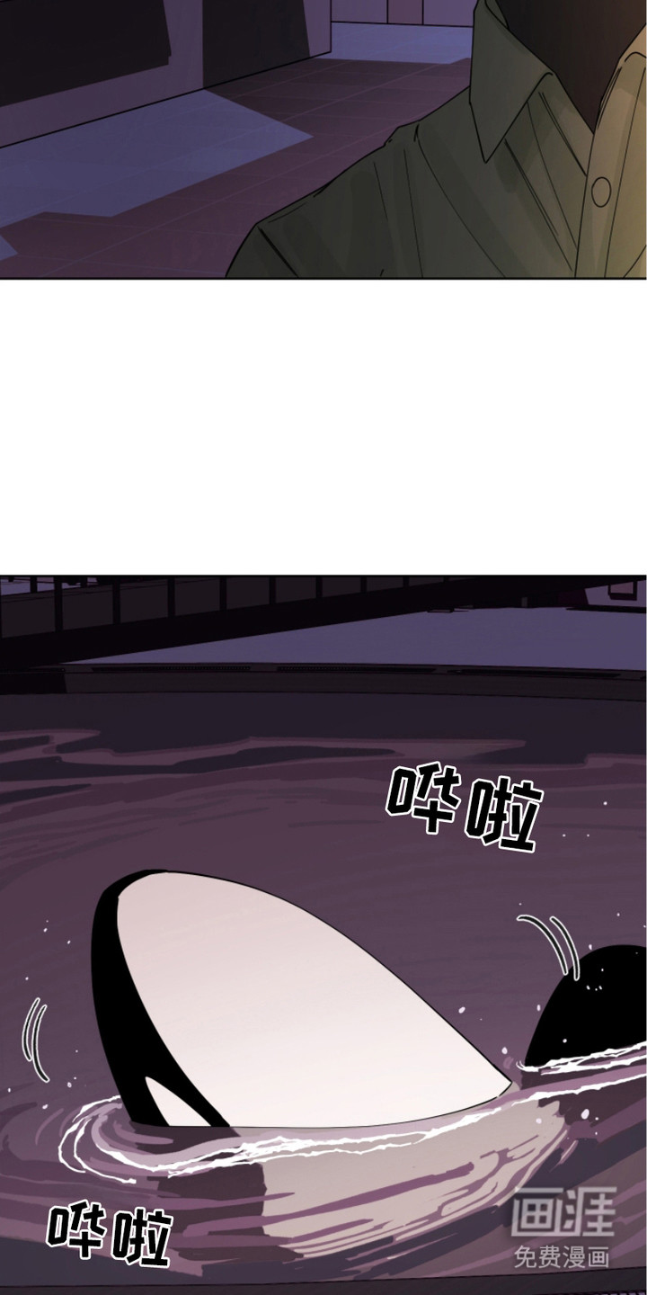 狩猎虎鲸 第12话 第16页