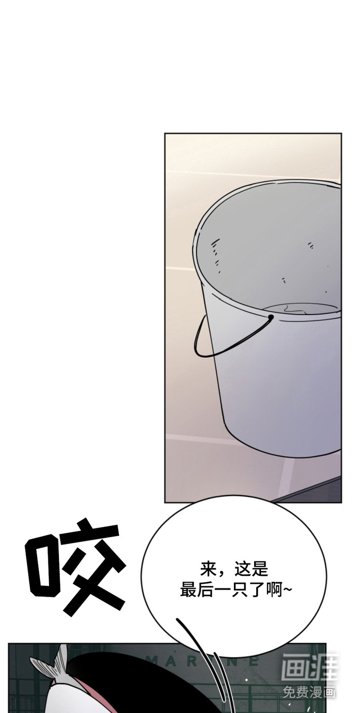 狩猎虎鲸 第13话 第0页