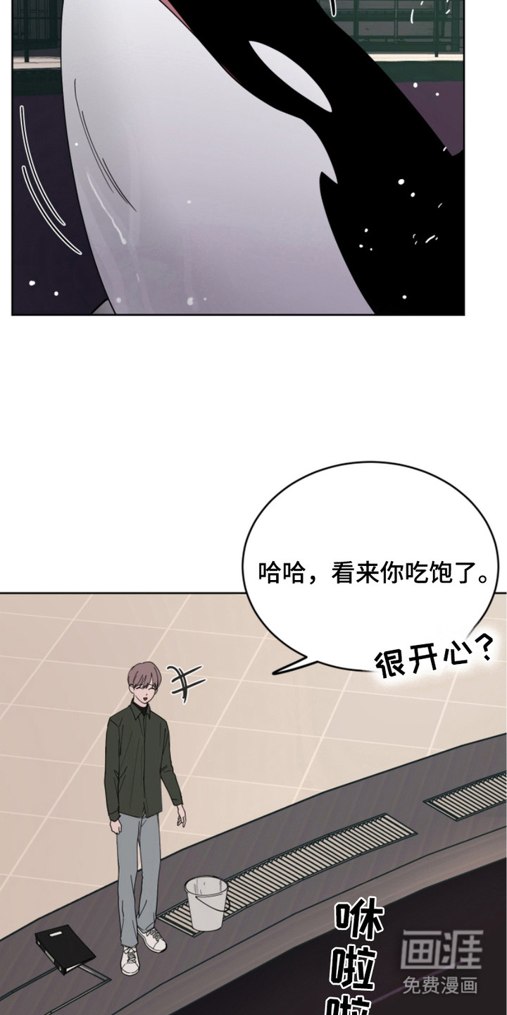 狩猎虎鲸 第13话 第1页