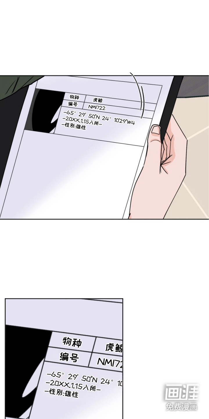 狩猎虎鲸 第13话 第6页
