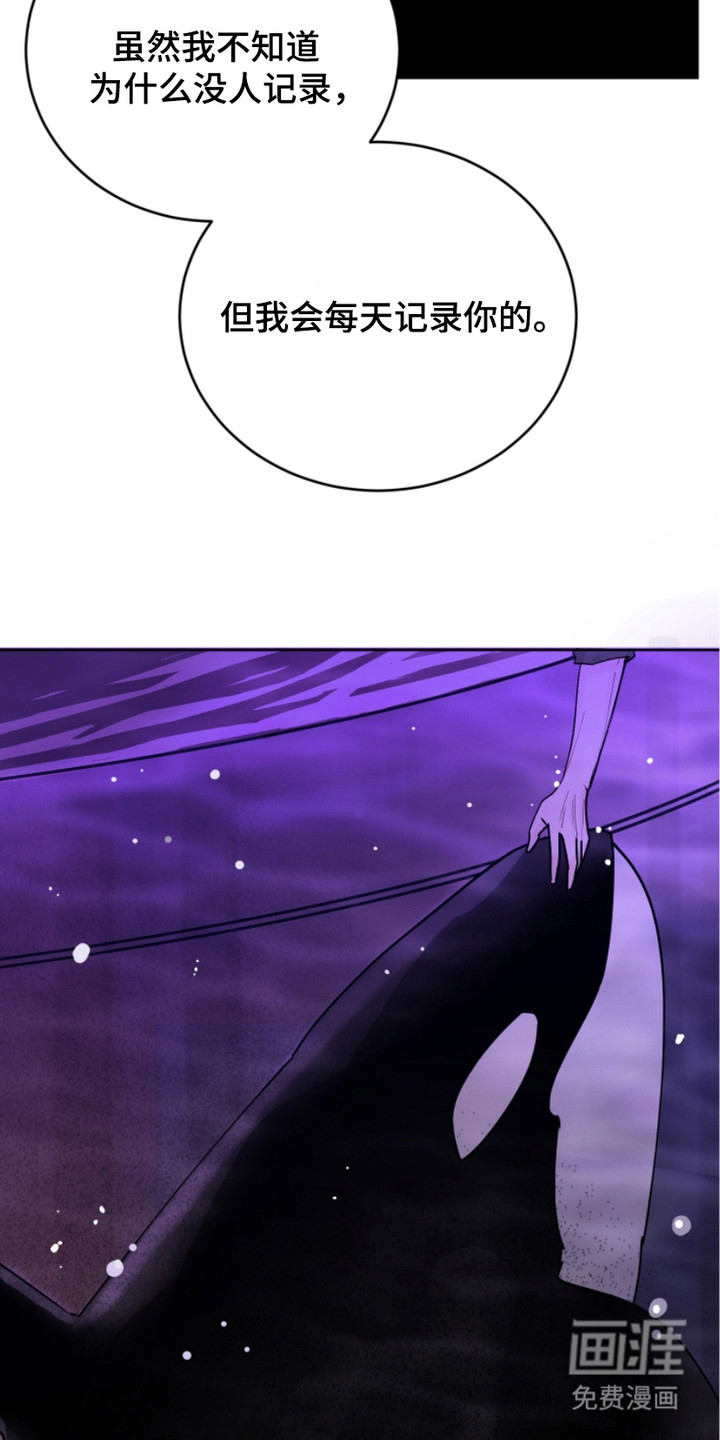 狩猎虎鲸 第13话 第17页