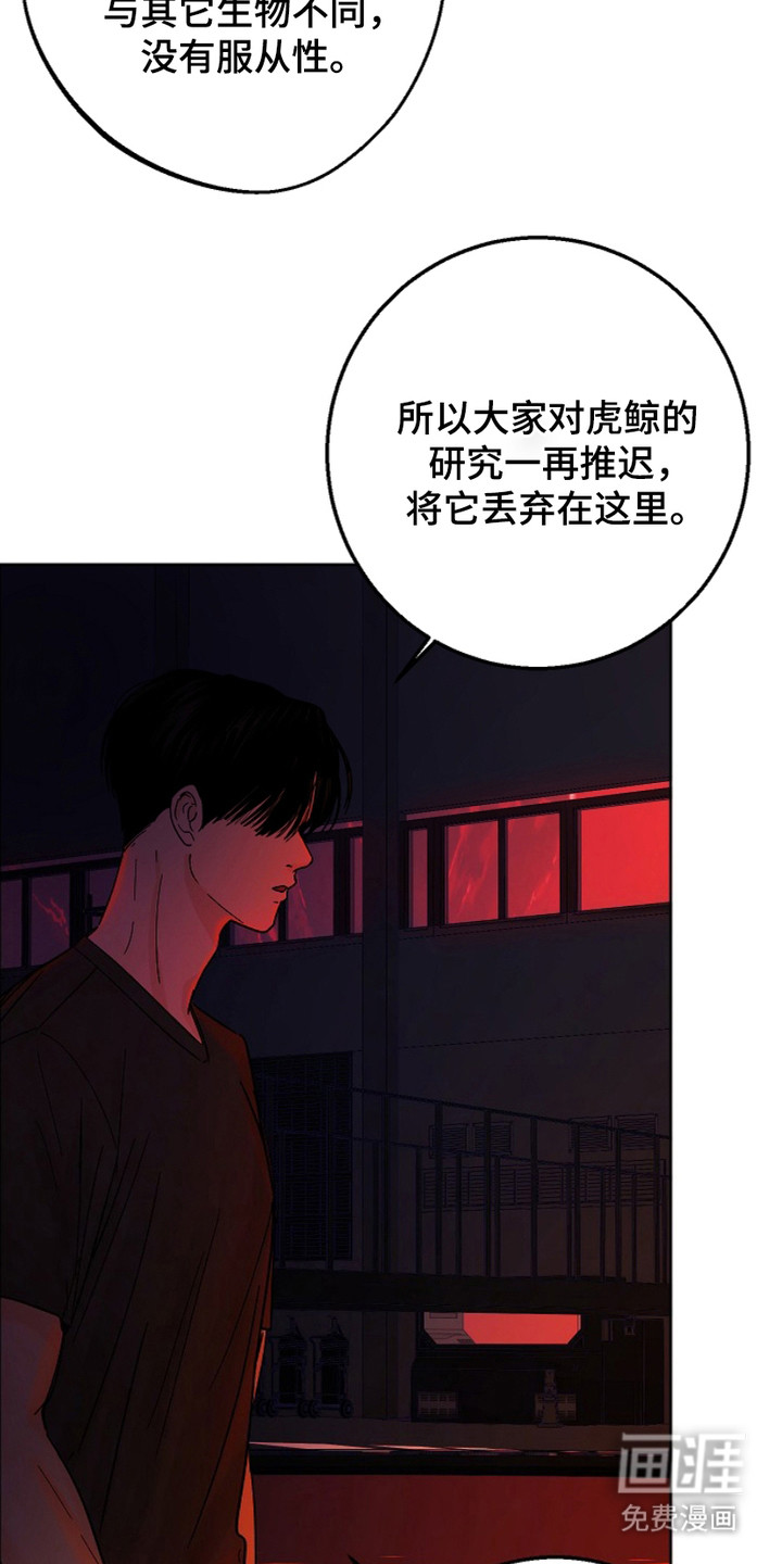 狩猎虎鲸 第18话 第12页