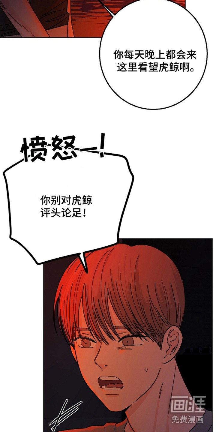 狩猎虎鲸 第18话 第13页