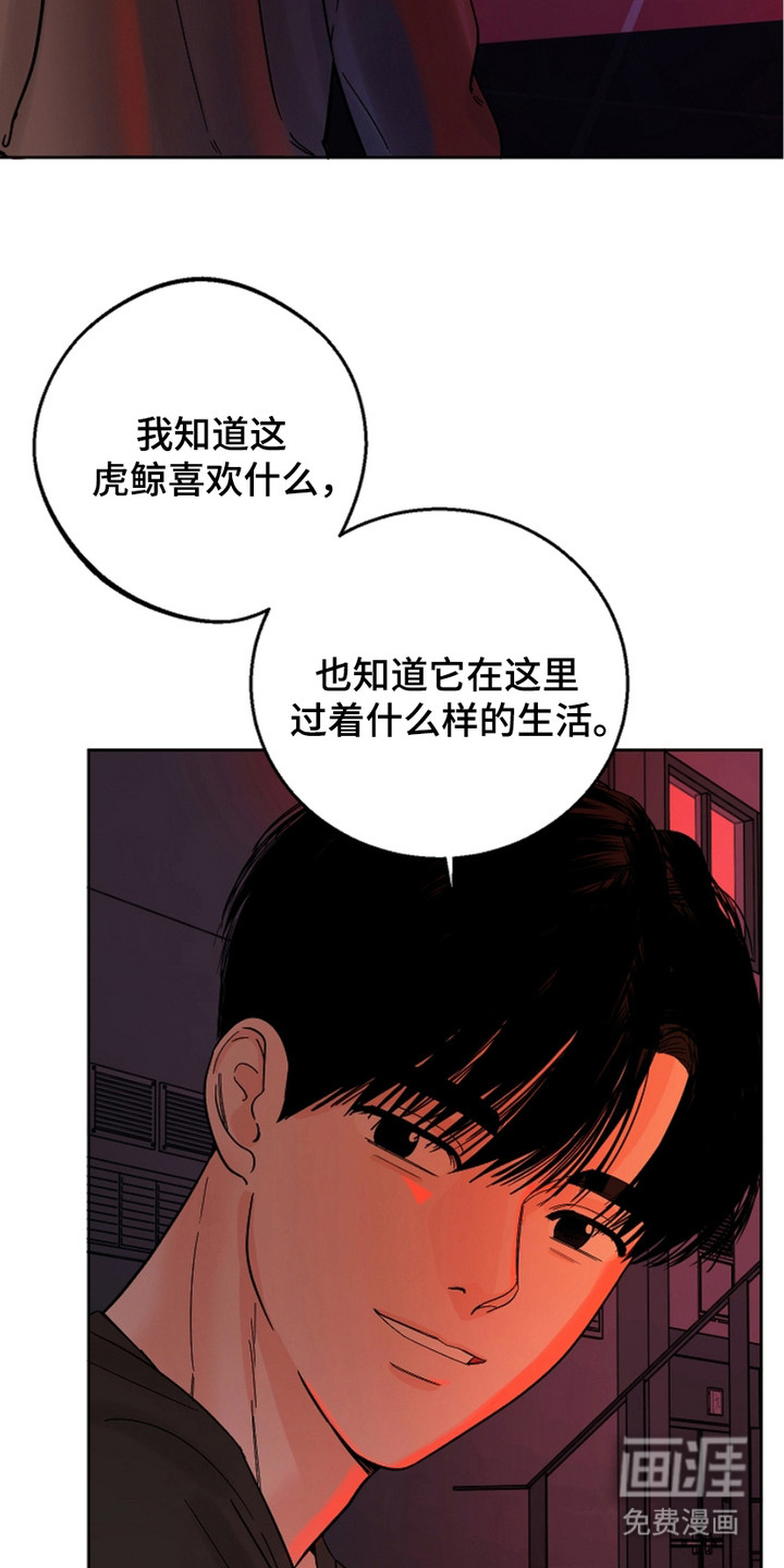 狩猎虎鲸 第18话 第18页