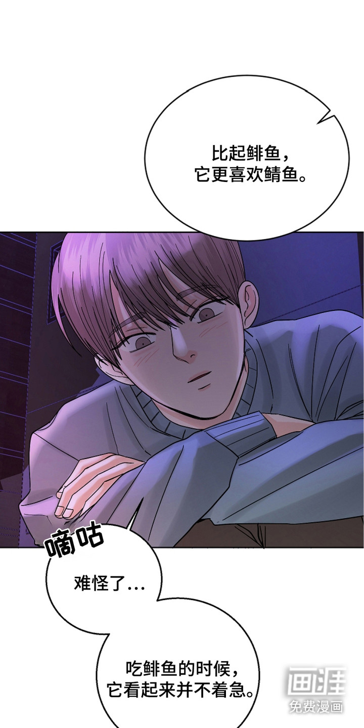 狩猎虎鲸 第18话 第22页