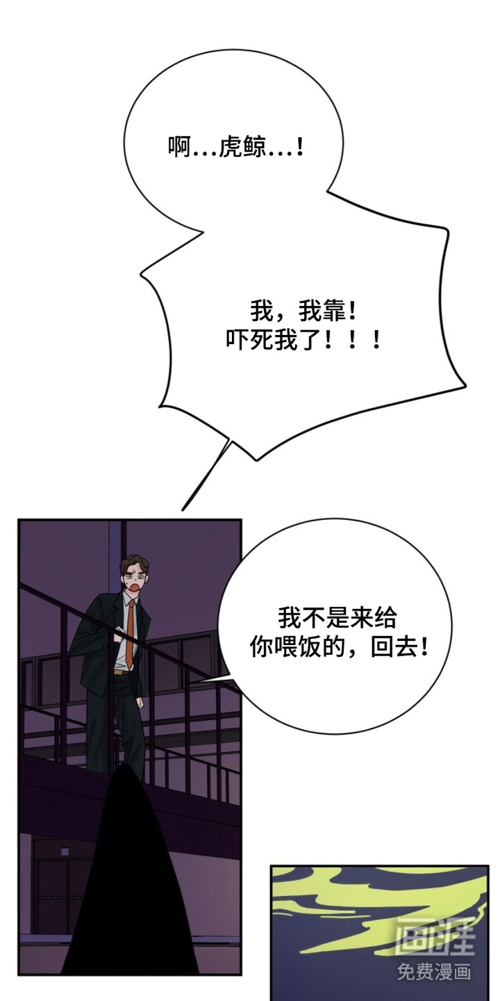 狩猎虎鲸 第2话 第6页