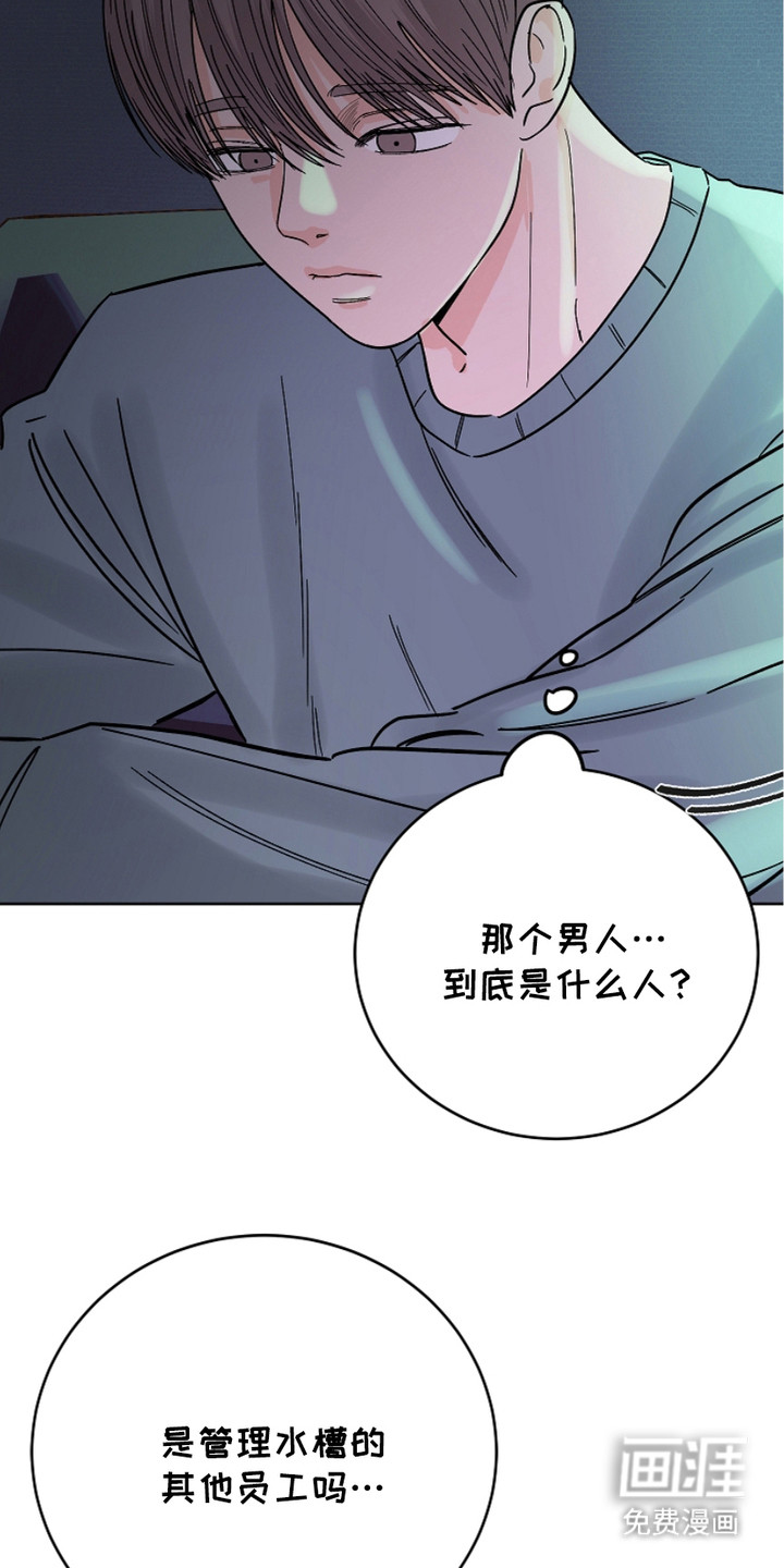 狩猎虎鲸 第20话 第9页