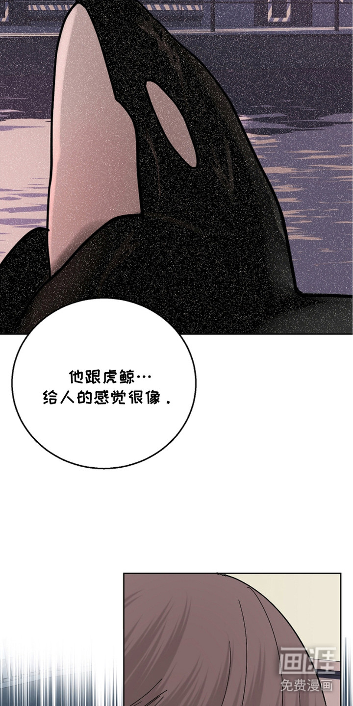 狩猎虎鲸 第22话 第3页