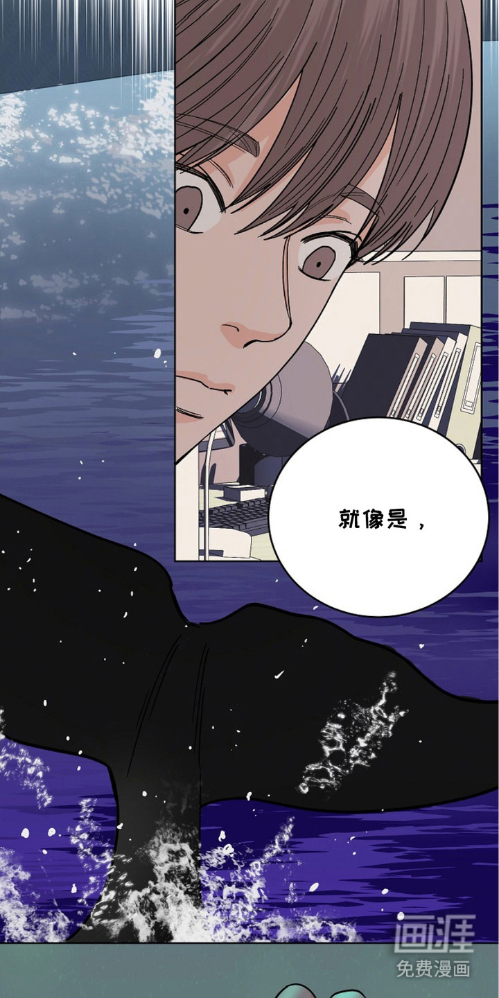 狩猎虎鲸 第22话 第4页