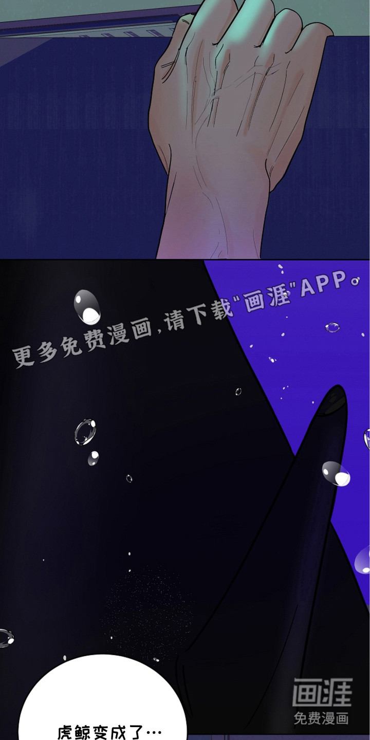 狩猎虎鲸 第22话 第5页