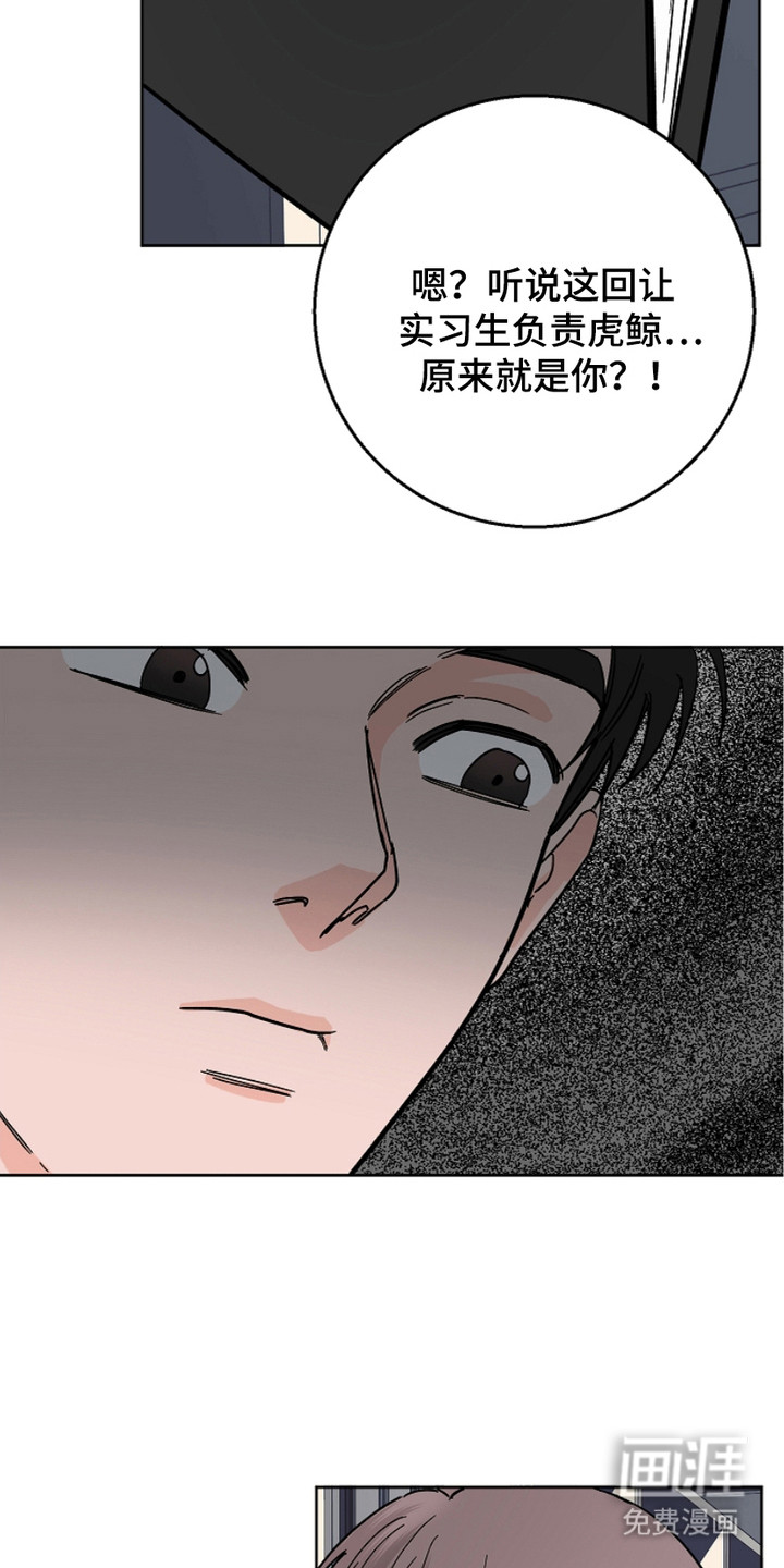 狩猎虎鲸 第23话 第5页