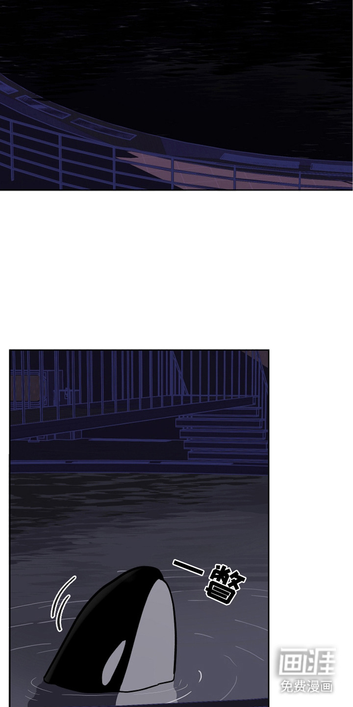 狩猎虎鲸 第25话 第18页