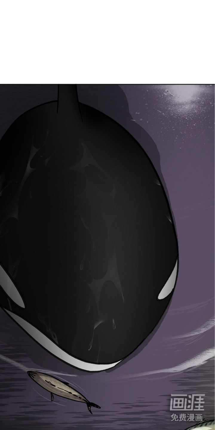 狩猎虎鲸 第26话 第4页