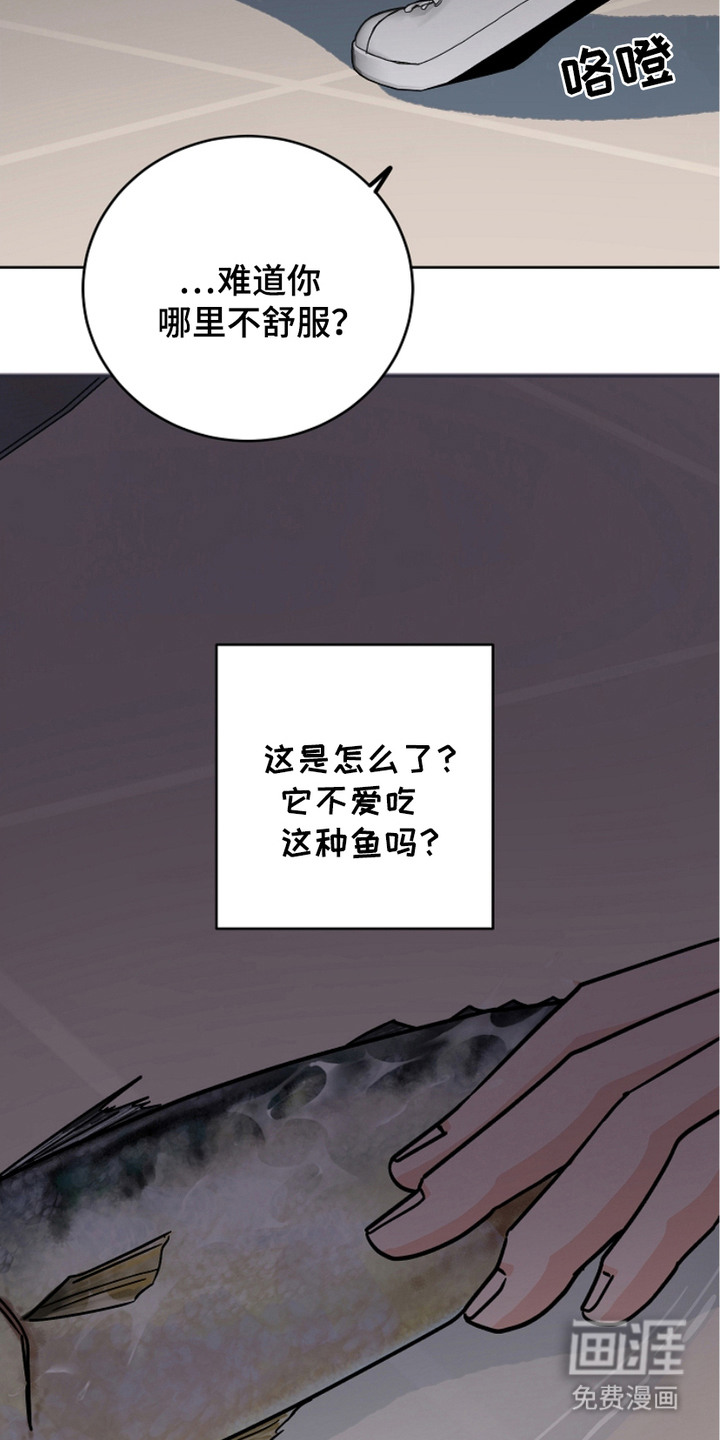 狩猎虎鲸 第26话 第10页