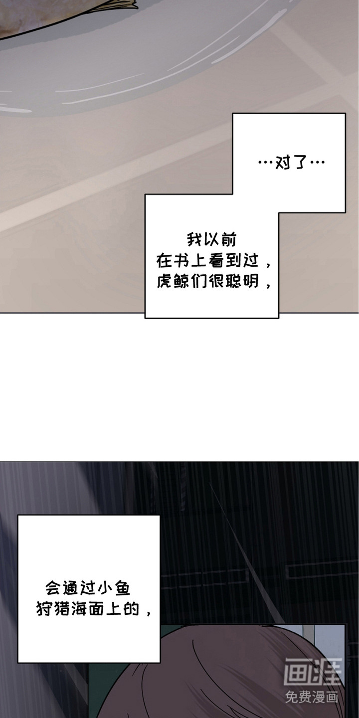 狩猎虎鲸 第26话 第11页