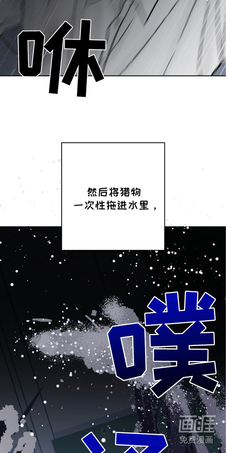 狩猎虎鲸 第26话 第17页