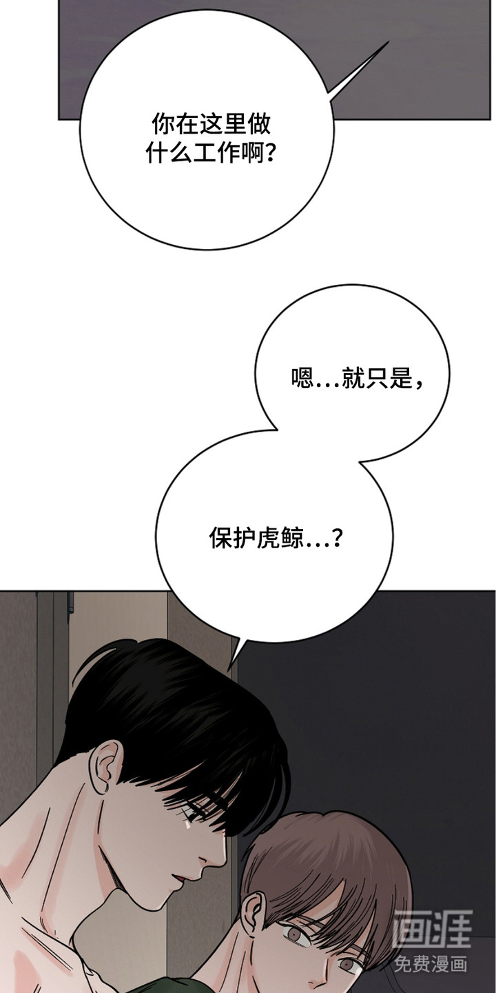 狩猎虎鲸 第28话 第14页