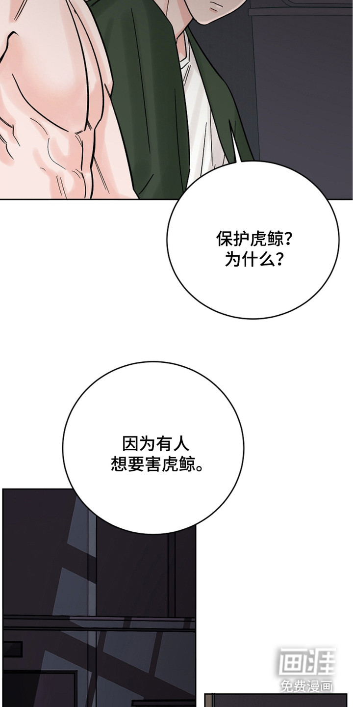 狩猎虎鲸 第28话 第15页