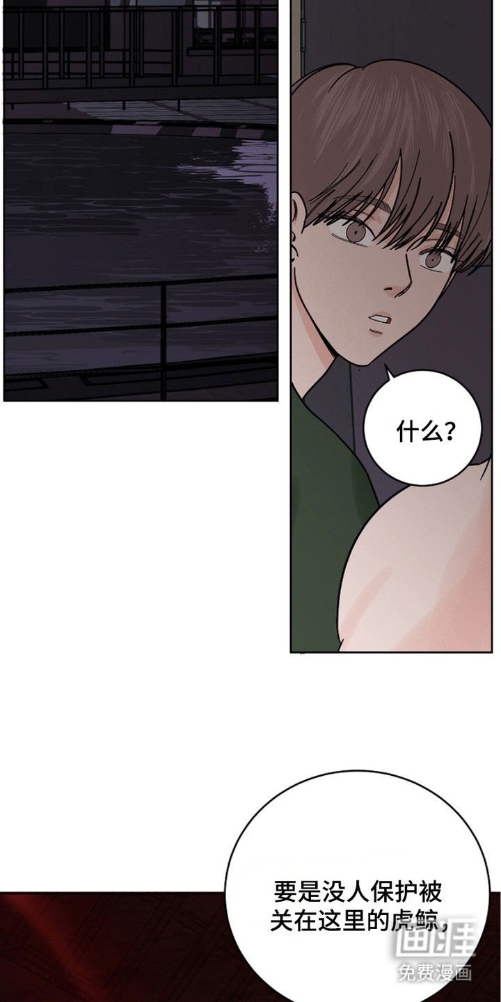 狩猎虎鲸 第28话 第16页