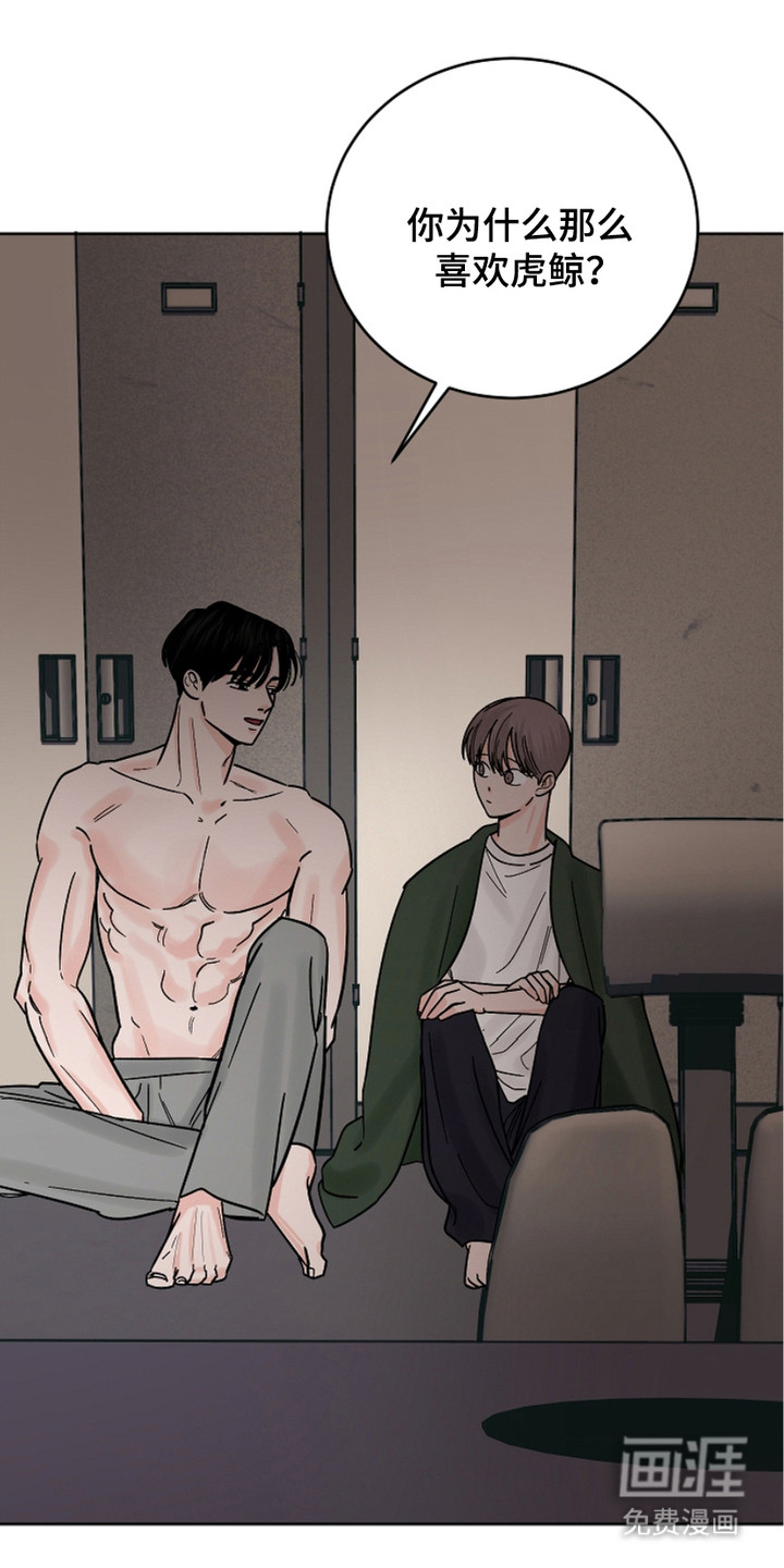 狩猎虎鲸 第28话 第21页