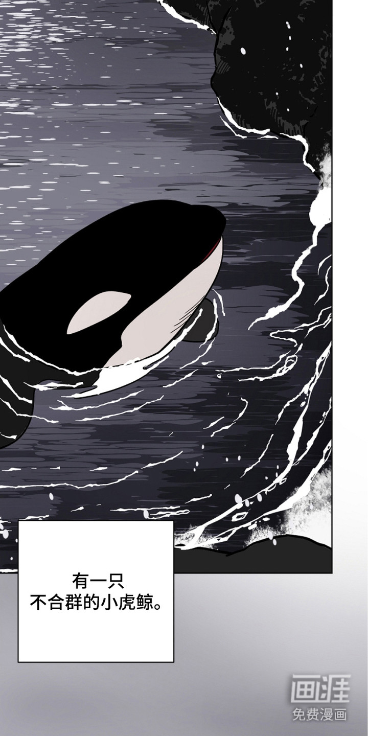狩猎虎鲸 第28话 第27页