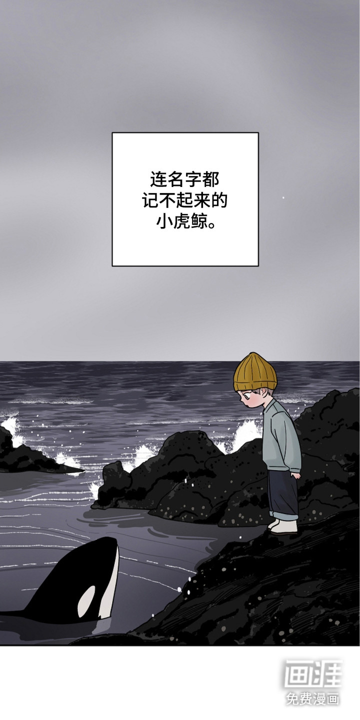狩猎虎鲸 第28话 第28页