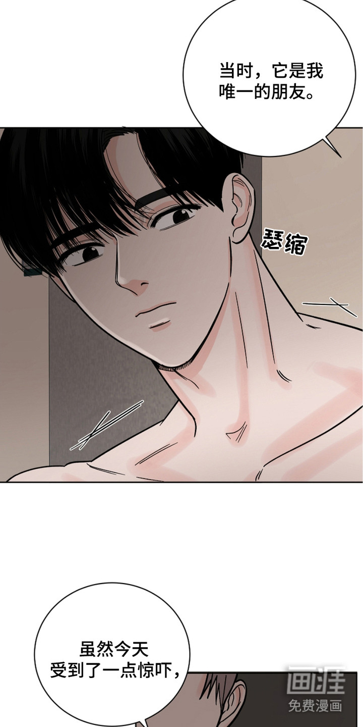 狩猎虎鲸 第29话 第1页