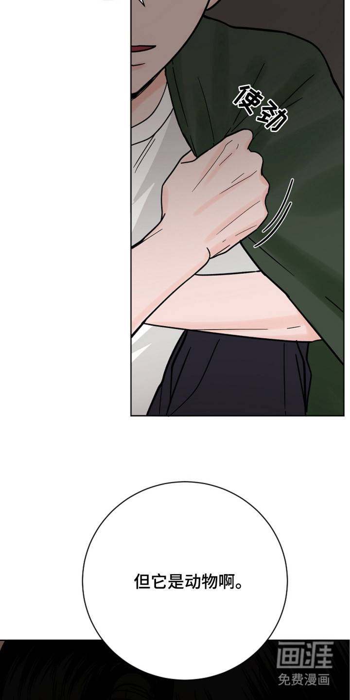 狩猎虎鲸 第29话 第2页