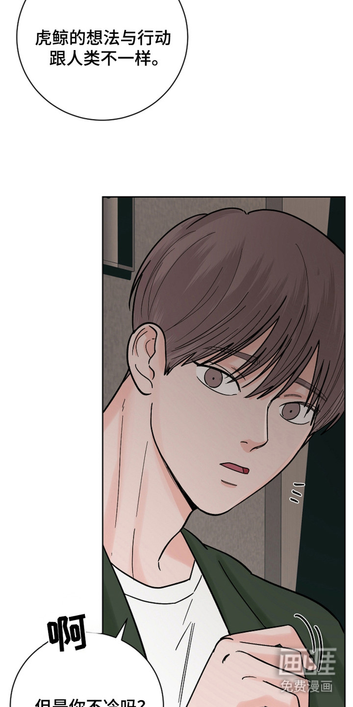 狩猎虎鲸 第29话 第4页