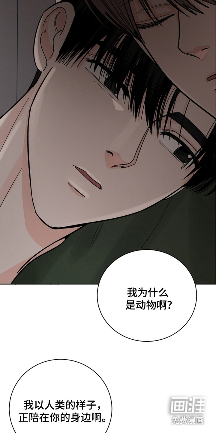 狩猎虎鲸 第29话 第15页