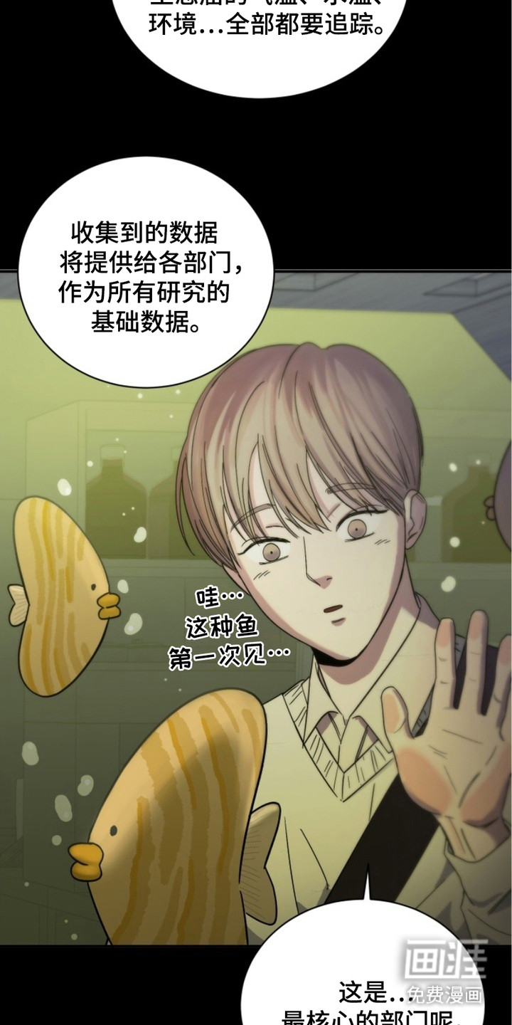 狩猎虎鲸 第3话 第1页