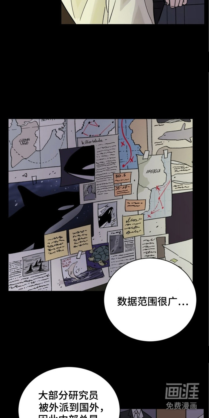 狩猎虎鲸 第3话 第3页