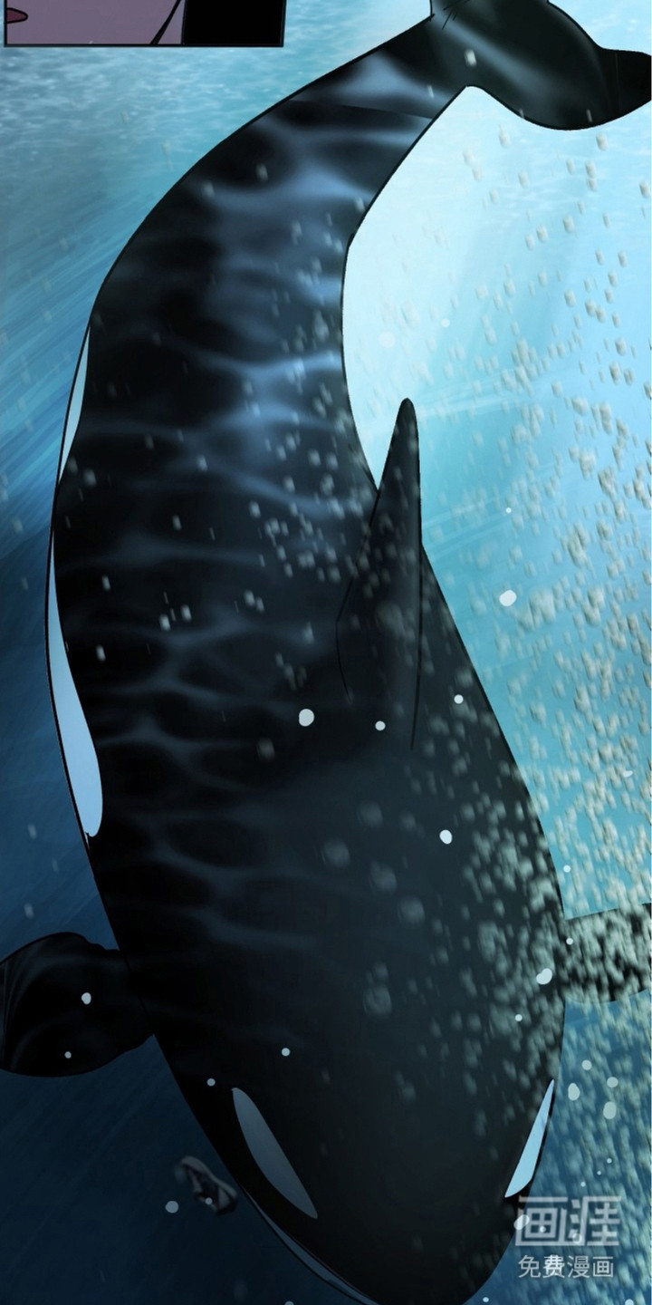 狩猎虎鲸 第3话 第18页