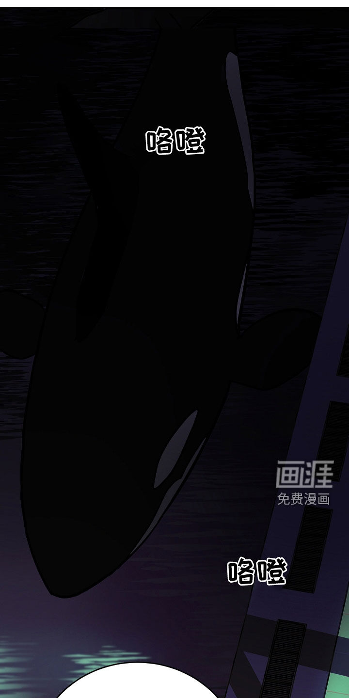 狩猎虎鲸 第35话 第20页