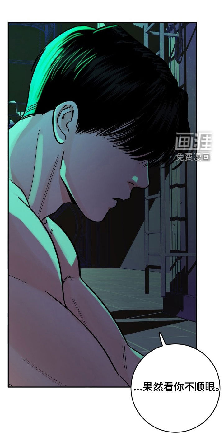 狩猎虎鲸 第37话 第0页