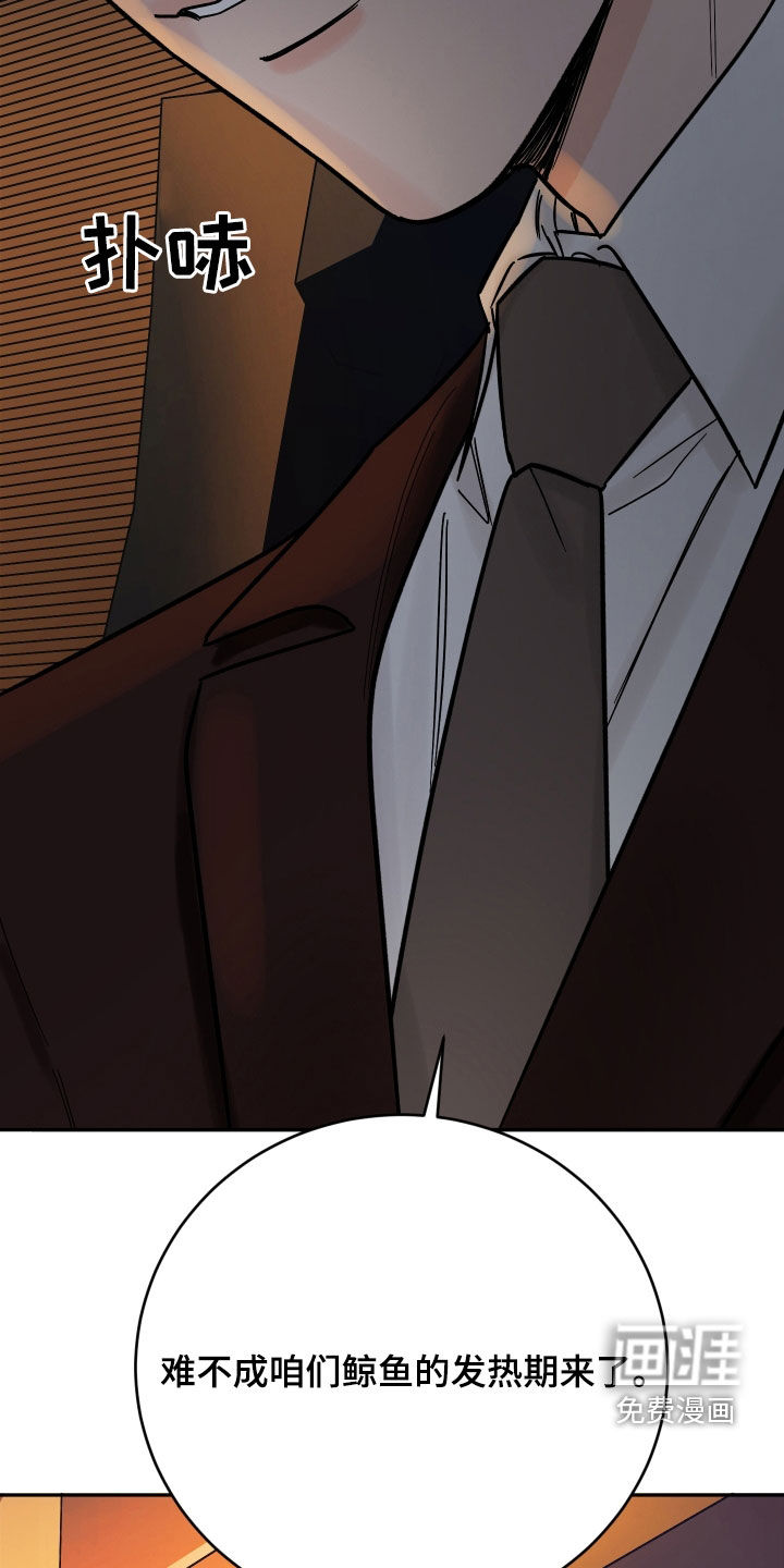 狩猎虎鲸 第40话 第27页