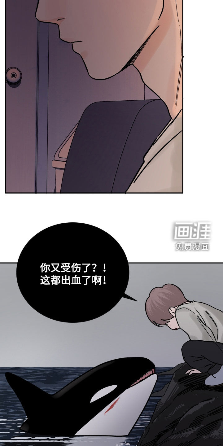 狩猎虎鲸 第41话 第9页