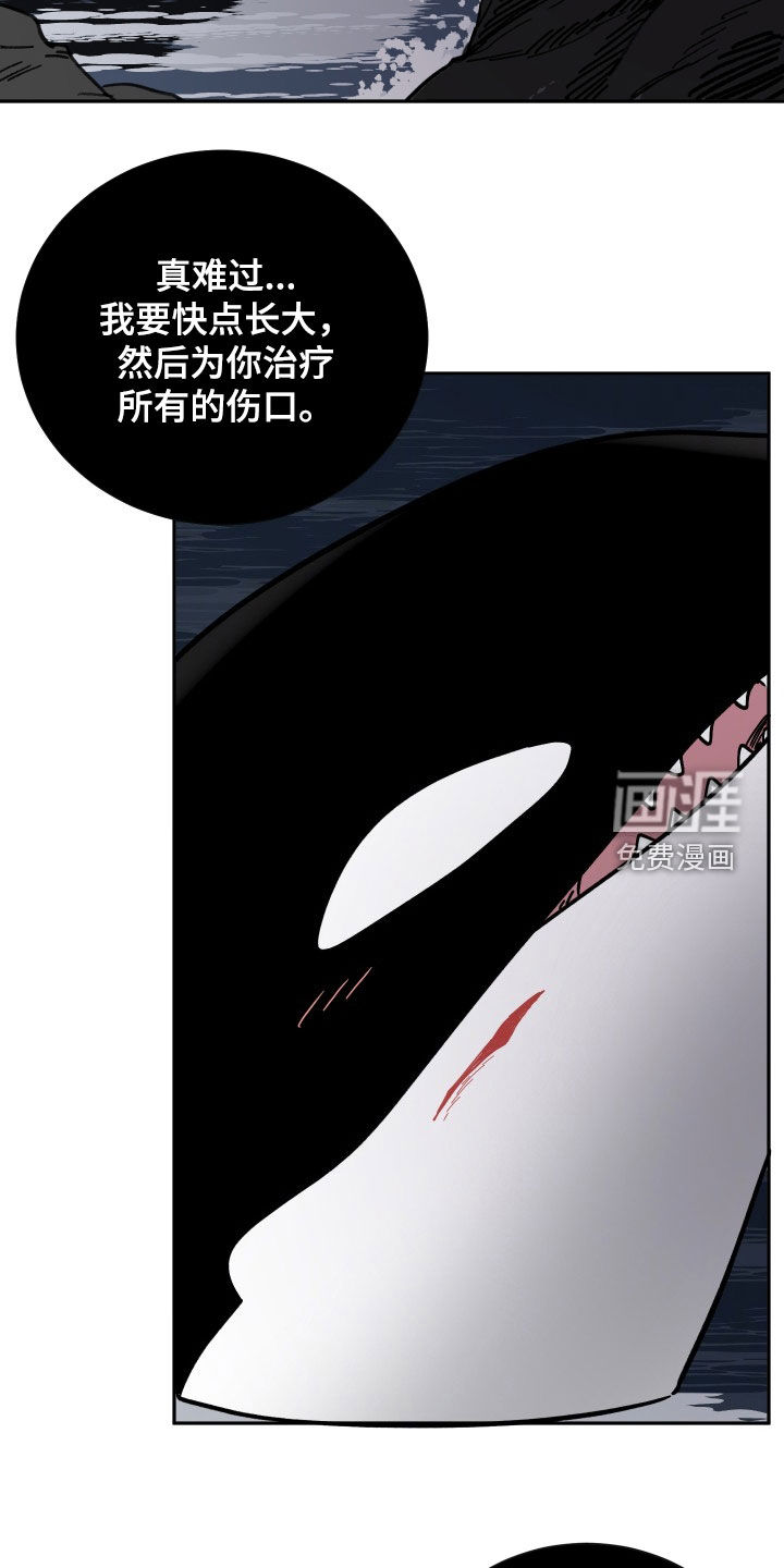 狩猎虎鲸 第41话 第10页