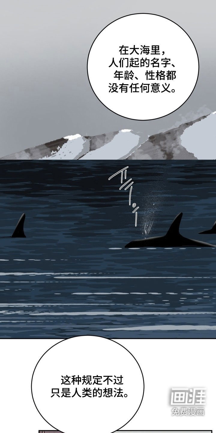 狩猎虎鲸 第43话 第4页