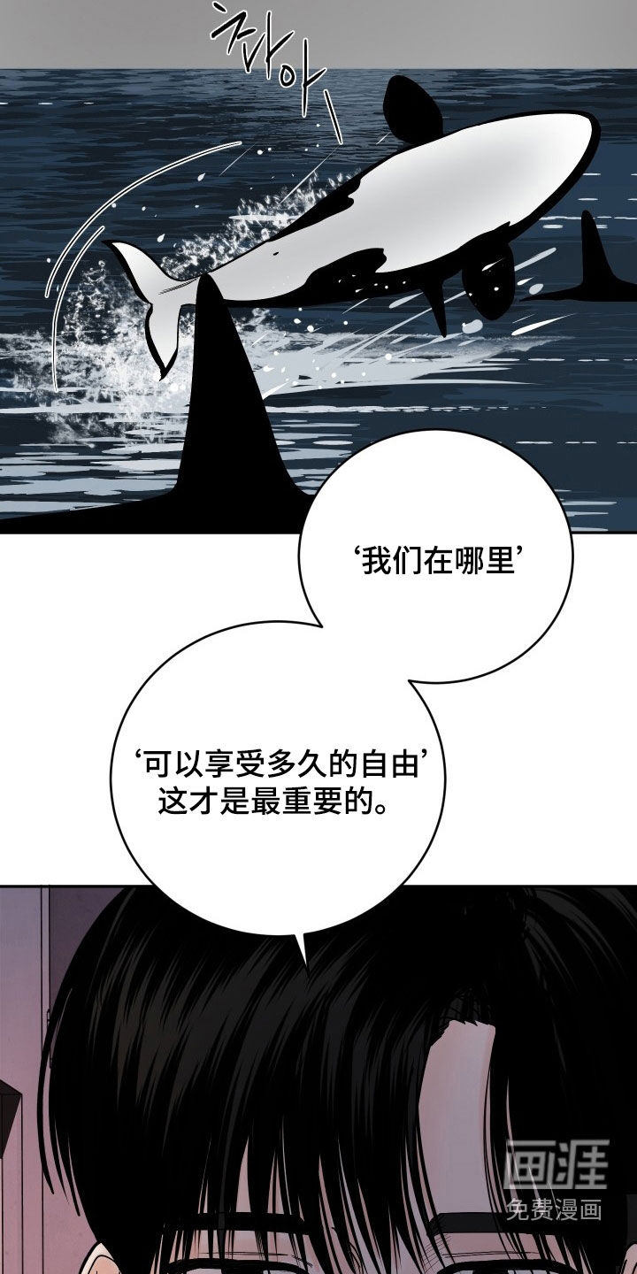 狩猎虎鲸 第43话 第6页