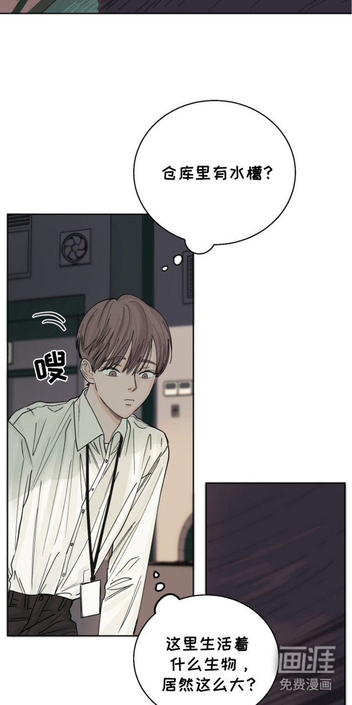 狩猎虎鲸 第5话 第21页