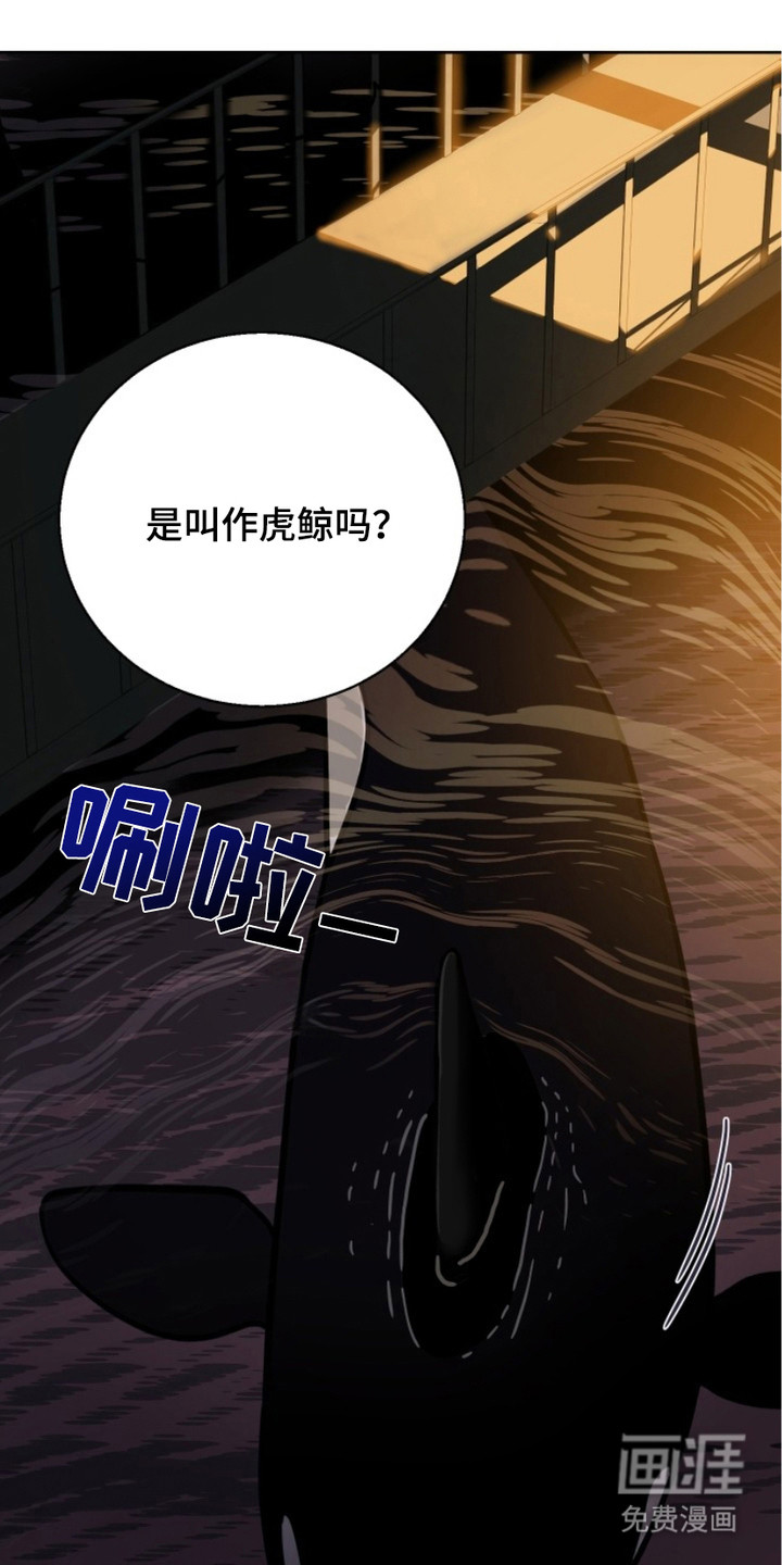 狩猎虎鲸 第6话 第19页